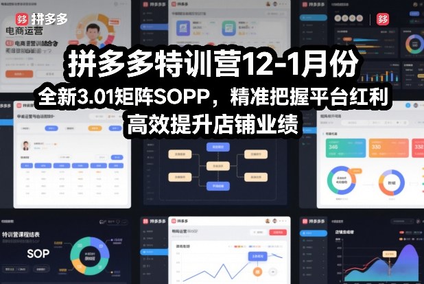 拼多多特训营12-1月份,全新3.01矩阵Sop,精准把握平台红利,高效提升店铺业绩-极速搞钱云网创