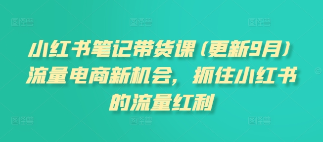 小红书笔记带货课(更新25年12月)流量电商新机会，抓住小红书的流量红利-极速搞钱云网创