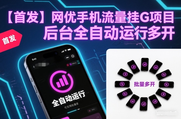 【首发】网优手机流量挂G项目,后台全自动运行,可无限批量多开【揭秘】-极速搞钱云网创
