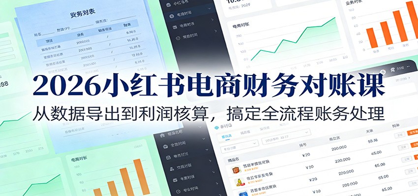2026小红书电商财务对账课：从数据导出到利润核算，搞定全流程账务处理-极速搞钱云网创