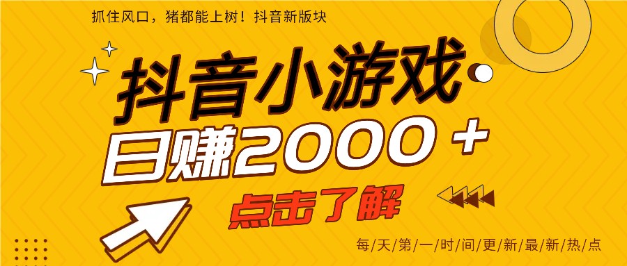5年爆火的抖音小游戏项目，一部手机日入2000+-极速搞钱云网创