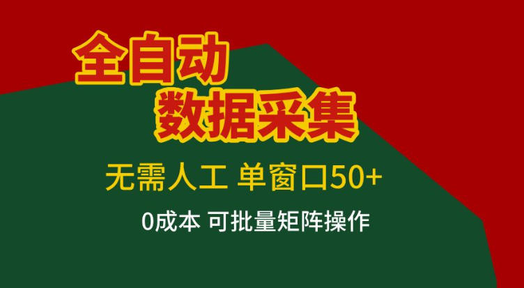 全自动数据采集，无需人工，单窗口50+，0成本可批量矩阵操作【揭秘】-极速搞钱云网创