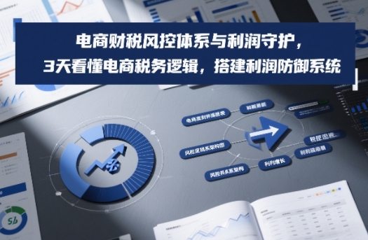 电商财税风控体系与利润守护,3天看懂电商税务逻辑,搭建利润防御系统-极速搞钱云网创