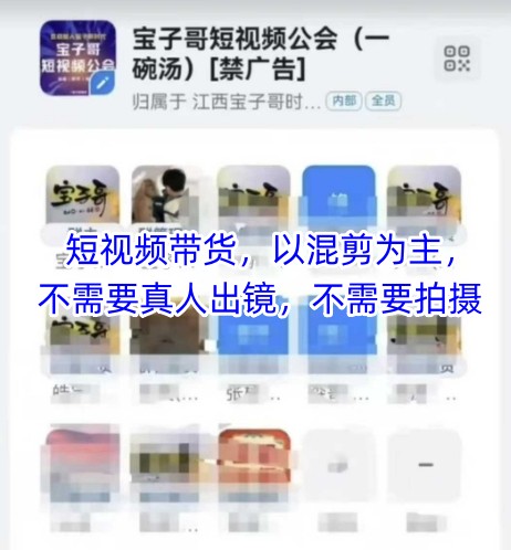 宝子哥头部团队短视频带货,以混剪为主,不需要真人出镜,不需要拍摄【更新12月】-极速搞钱云网创