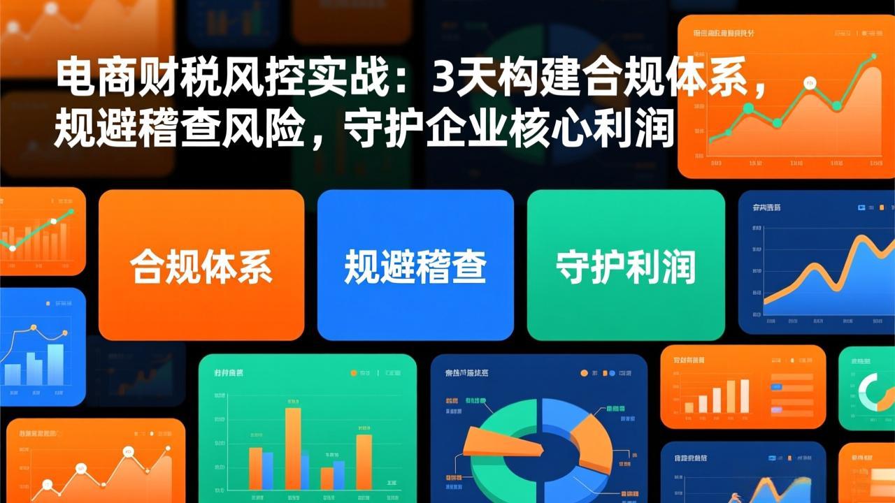 电商财税风控实战:3天构建合规体系,规避稽查风险,守护企业核心利润-极速搞钱云网创