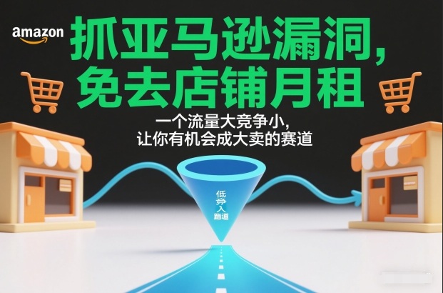 抓亚马逊漏洞,免去店铺月租,一个流量大竞争小,让你有机会成大卖的赛道-极速搞钱云网创